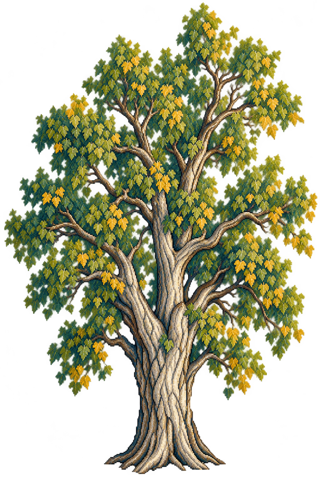Fremont cottonwood