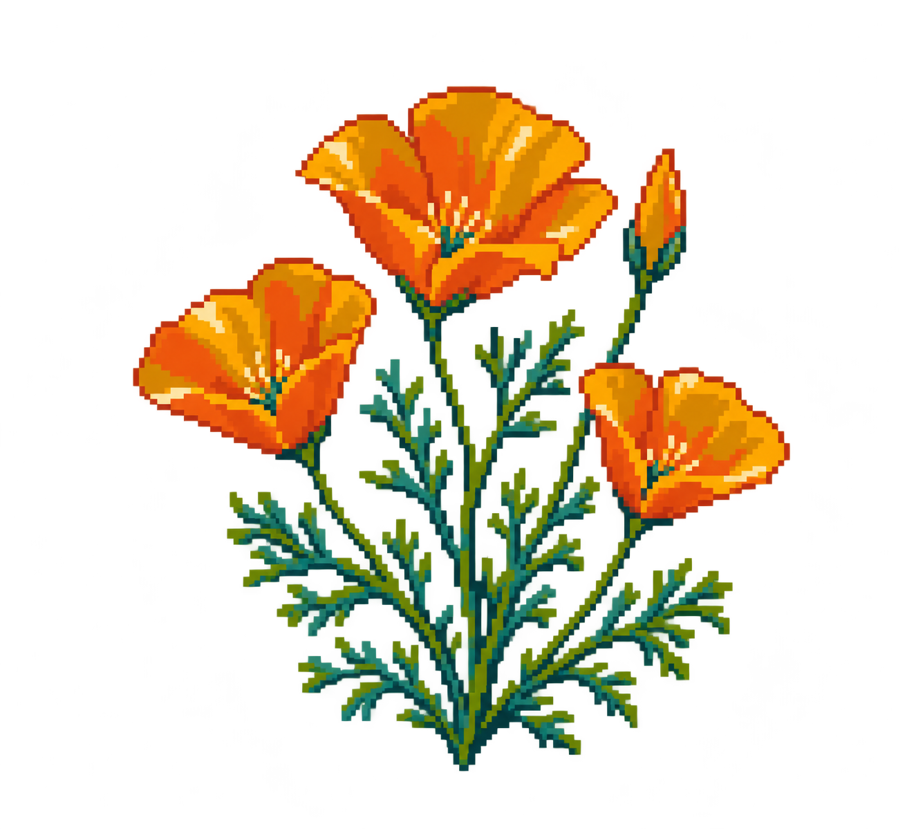 Golden poppy